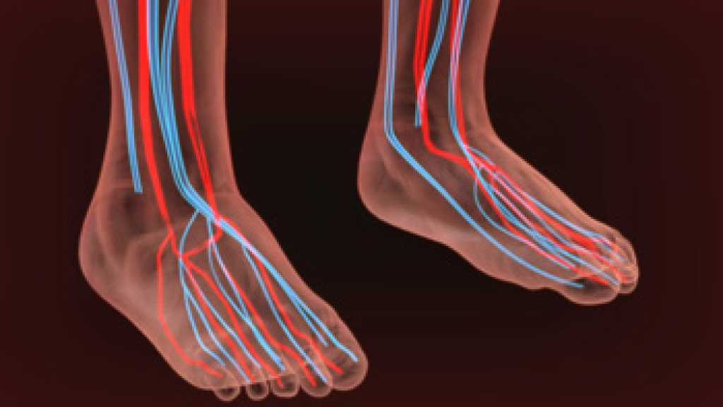 Poor Circulation in the Feet and Ankles