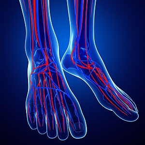 Symptoms and Causes of Poor Circulation