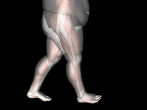 Obesity and Foot Pain in Older Adults